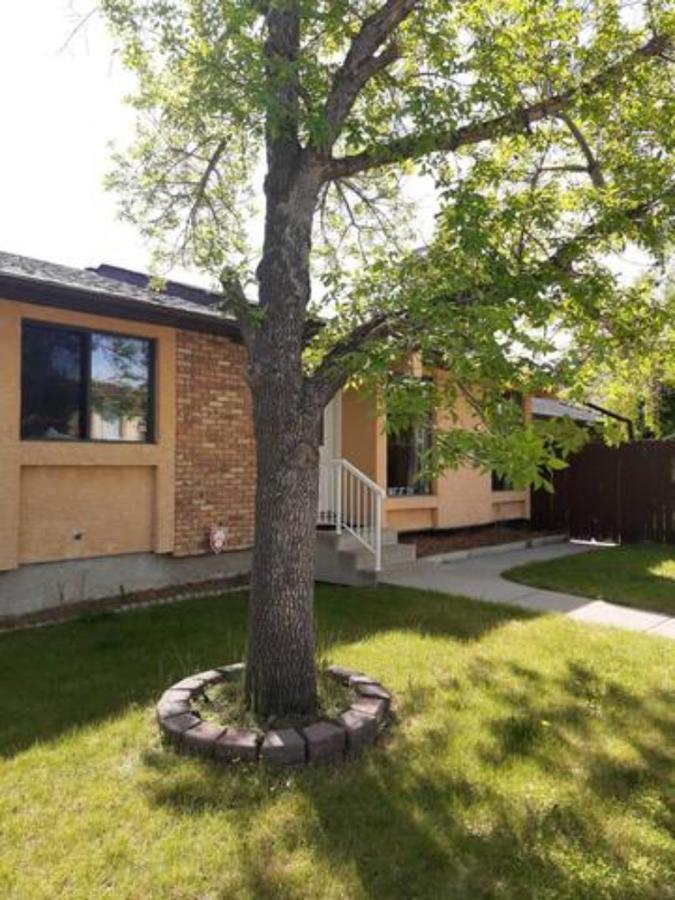 Cozy Home With Comfortable Beds And Fully Equipped Kitchen 15 Mins Drive From Airport, Downtown, Sait And U Of C And 80 Min Drive To Banff YYC Exterior foto
